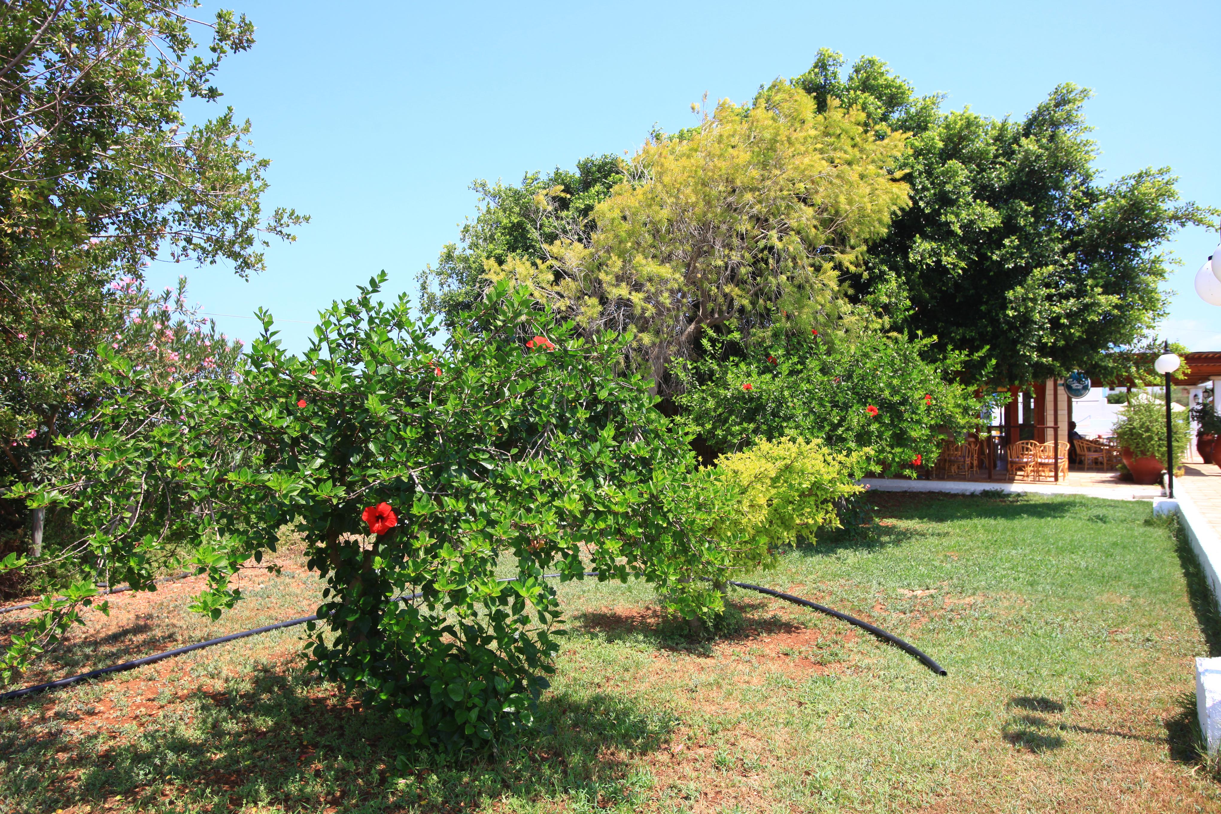 Hotel Galini Ανισσαράς Εξωτερικό φωτογραφία